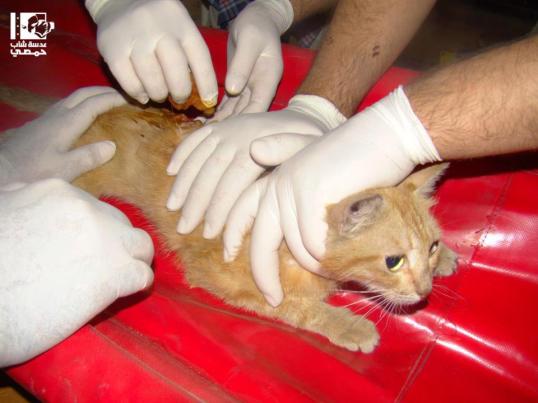 photo of the day 23 August 2012